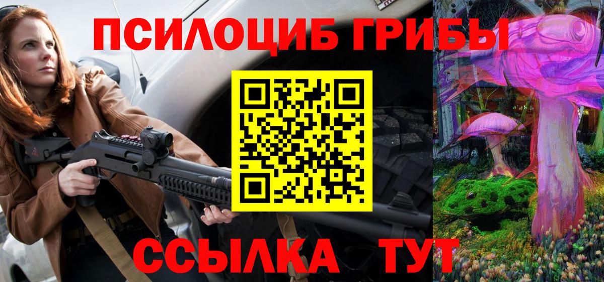 Псилоцибиновые грибы Psilocybine cubensis Муром